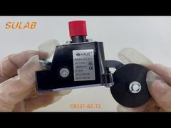 Chave fim de curso para serviço pesado CR137-BZ-T2 com classificação IP67, 2 contatos de ação instantânea SPDT e rolo de aço L